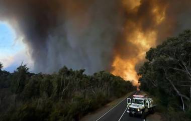 Australia Bushfire সিঙ্গাপুরের চেয়েও আয়তনে বেশী জায়গা জুড়ে অস্ট্রেলিয়ায় ভয়াবহ দাবানল