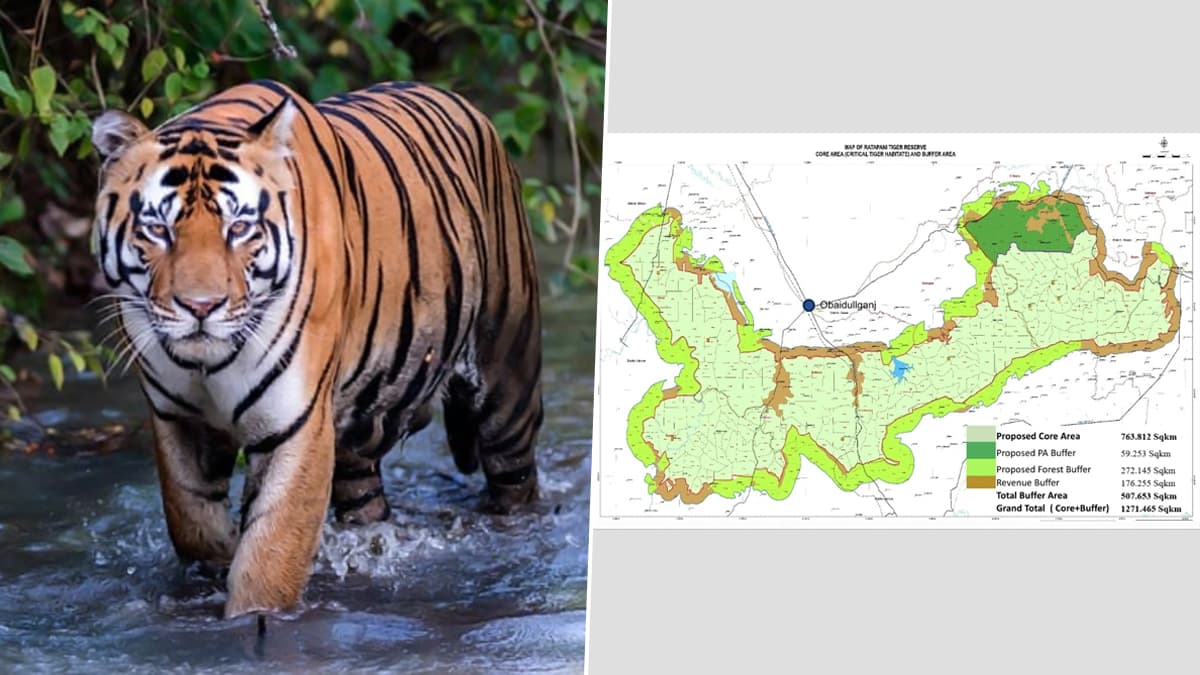 Ratapani Tiger Reserve: মধ্যপ্রদেশের অষ্টম ব্যাঘ্র সংরক্ষণ কেন্দ্র হিসাবে স্বীকৃতি পেল রাতাপানি, জানাল কেন্দ্র সরকার