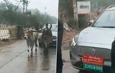 Rajasthan Viral Video: মাঝ পথে অকেজ যান, ষাঁড়ে টেনে নিয়ে গেল ইলেকট্রিক গাড়ি, দেখুন