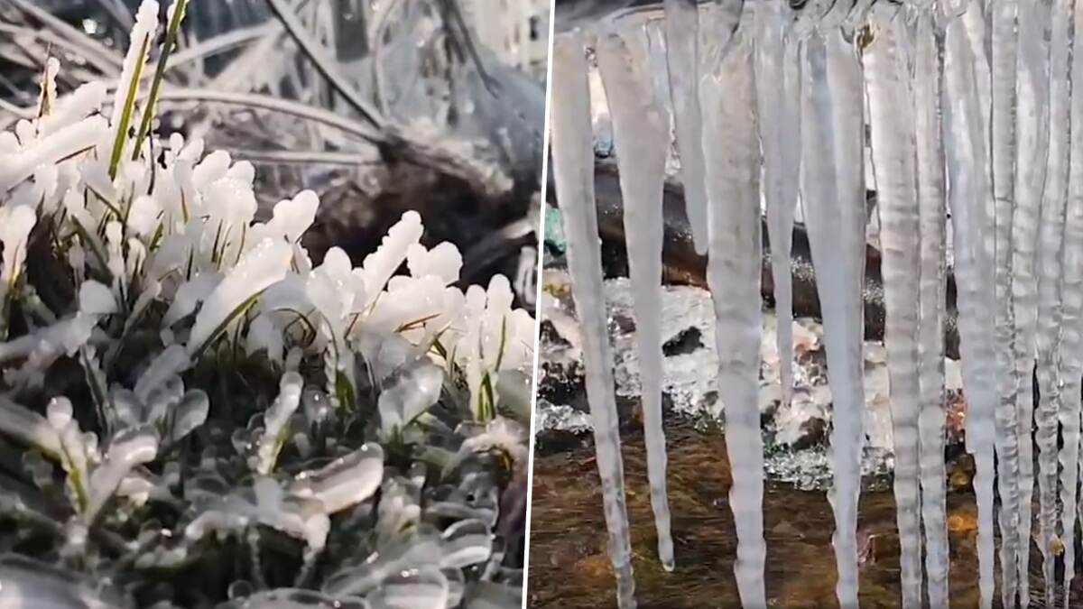 Jammu & Kashmir: জম্মু ও কাশ্মীরে তাপমাত্রা শূন্যের নিচে, এলাকা ঢাকল বরফে, দেখুন ভিডিও