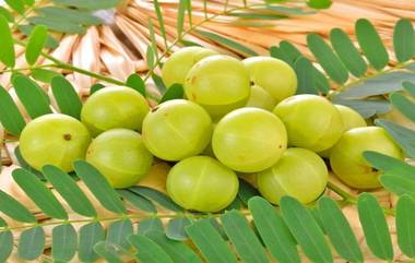 Amla Chutney Recipe: খাবারের স্বাদ বাড়িয়ে তুলতে এই সহজ পদ্ধতিতে তৈরি করুন আমলা চাটনি...