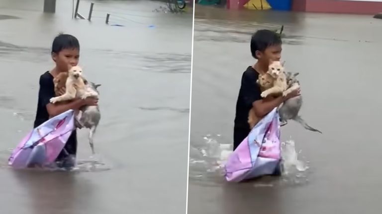 Malaysia Floods: বন্যায় ভাসছে চারদিক, নিজের জীবন বিপন্ন করে ৩টি বেড়ালকে বাঁচাল খুদে, দেখুন