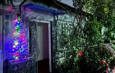 Christmas 2024: খ্রিস্টমাসে আলো ঝলমলে মুখ্যমন্ত্রীর বাসভবন, বড়দিন সুখ, শান্তি বয়ে আনুক, প্রার্থনা মমতা বন্দ্য়োপাধ্যায়ের