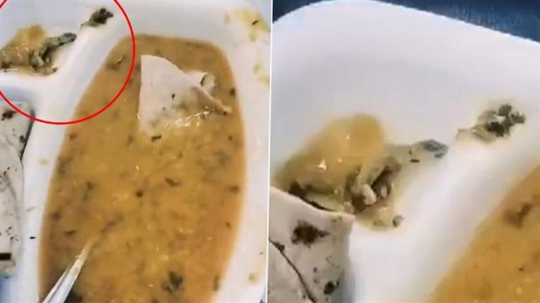 Dead Lizard Found in Food at UP Hospital: হাসপাতালের খাবারে টিকটিকি, রোগীর শরীর আরও খারাপ হতেই অভিযোগ দায়ের, দেখুন