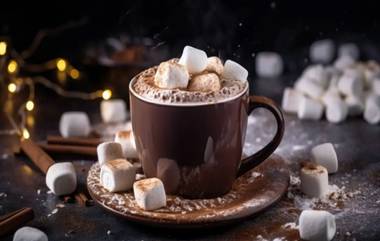 Hot Chocolate: হট চকোলেট ছাড়া উৎসবের মরসুম অসম্পূর্ণ, নববর্ষ উপলক্ষে জেনে নিন হট চকোলেট তৈরির রেসিপি...