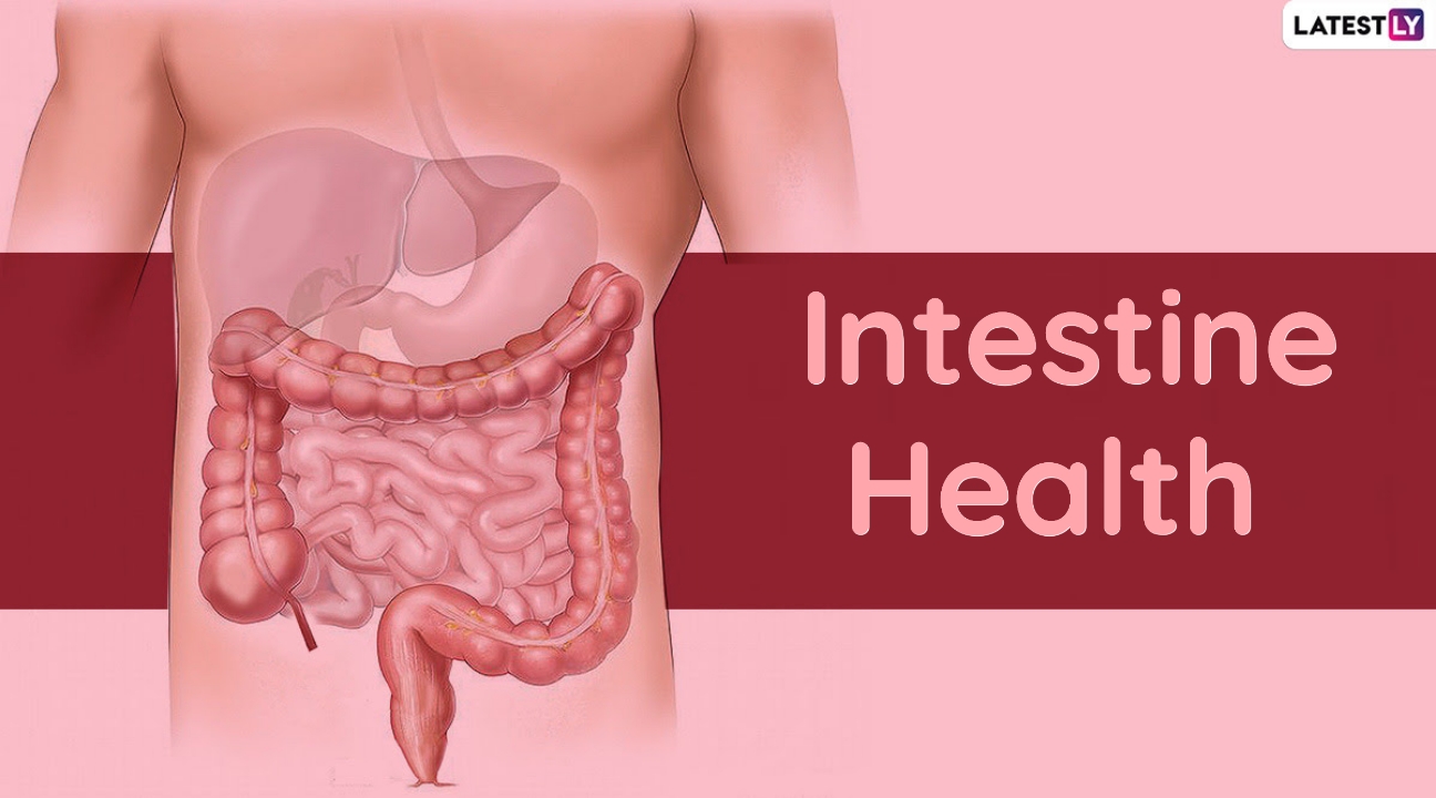 Intestine Health: শীতের মরসুমে অন্ত্রের স্বাস্থ্য ভালো রাখার বিষয়ে জেনে নিন স্বাস্থ্য বিশেষজ্ঞদের পরামর্শ...