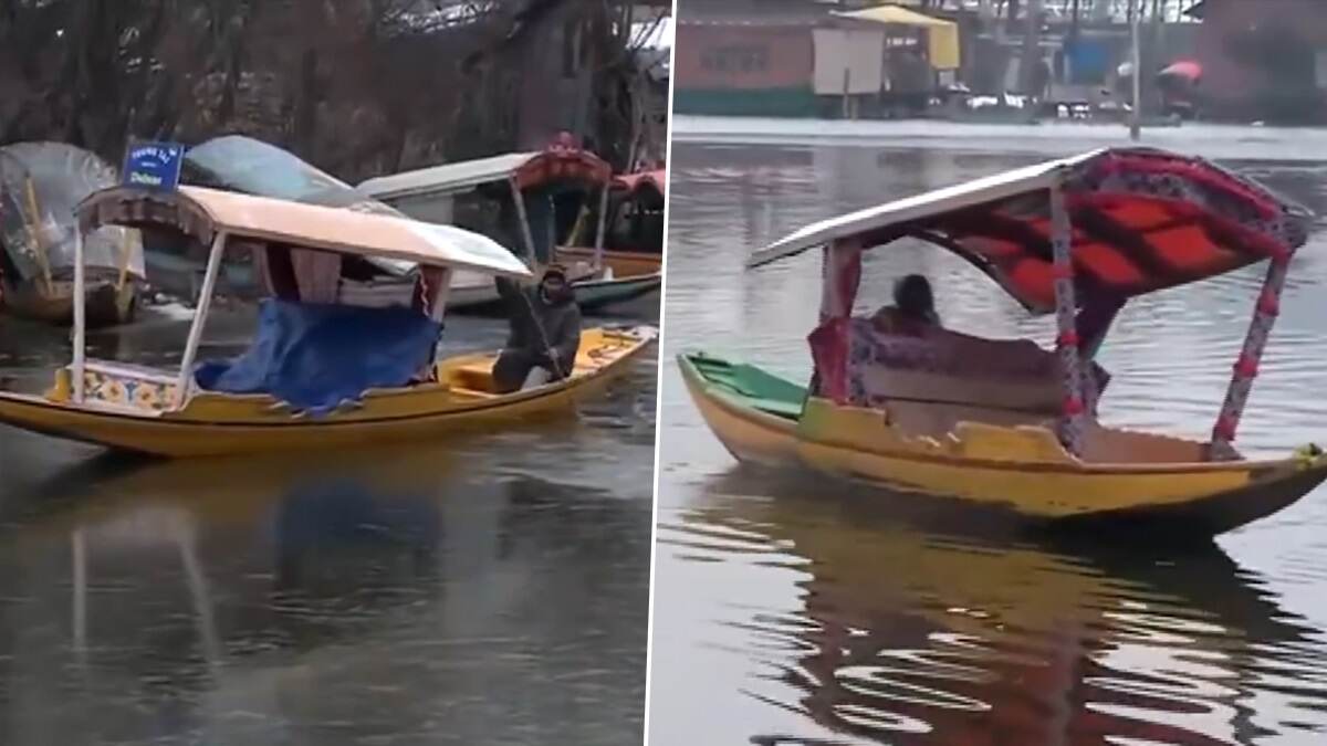 Jammu And Kashmir Video: সারতাল ঢেকে গেল সাদা বরফে, তুষারপাতে নৈসর্গিক দৃশ্য কাশ্মীরে