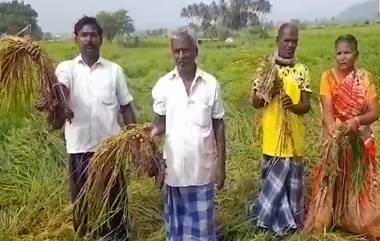 Tamil Nadu: নষ্ট ১০০ একর জমি, বছর শেষে মাথায় হাত তামিলনাড়ুর চাষিদের