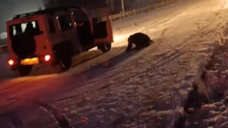 Manali Viral Video: বরফের মধ্যে দুর্ঘটনার কবলে গাজানলা দিয়ে ঝাঁপ চালকের, ভাইরাল ভিডিয়ো