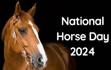 National Horse Day 2024: জাতীয় ঘোড়া দিবস কবে? জেনে নিন জাতীয় ঘোড়া দিবসের ইতিহাস ও গুরুত্ব...