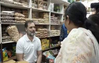 Rahul Gandhi: রাজনীতি অতীত? মুদি দোকানে কেক, চকোলেট বিক্রি করছেন রাহুল গান্ধী, ভাইরাল ভিডিয়ো