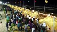 International Sand Art Festival: পুরীর সমুদ্রসৈকতে শুরু আন্তর্জাতিক স্যান্ড আর্ট ফেস্টিভ্যাল, দেখুন ভিডিয়ো