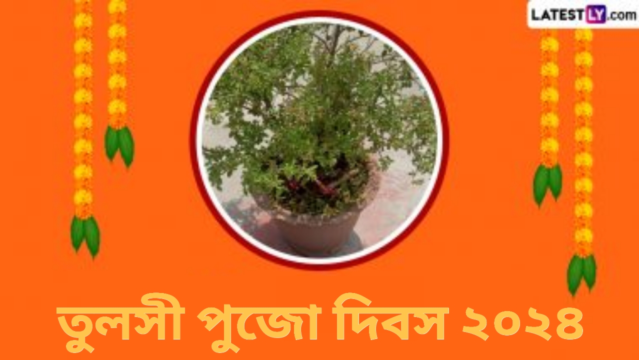 Tulsi Pujan Diwas 2024: তুলসী পুজোর দিনে তুলসী মাতার পুজো করলে ঘরে আসে সুখ ও সমৃদ্ধি, জেনে নিন তুলসী পুজোর শুভ সময়, পুজোর পদ্ধতি ও গুরুত্ব...