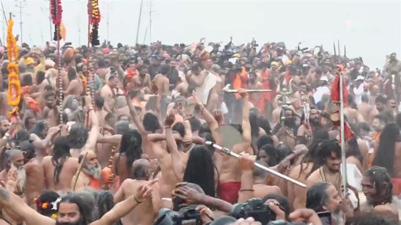 Maha Kumbh 2025: প্রয়াগরাজে নাগা সাধুদের অমৃত স্নান, দেখুন ভিডিও