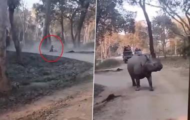 Kaziranga National Park: জঙ্গল সাফারিতে গিয়ে জিপ থেকে গণ্ডারের সামনে পড়লেন মা-মেয়ে, কাজিরাঙ্গা জাতীয় উদ্যানে সাংঘাতিক কাণ্ড