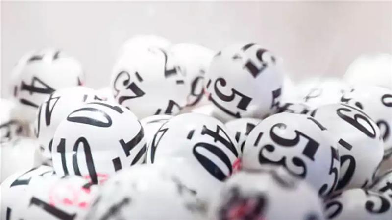Lottery Sambad: লটারি রেজাল্ট আজ ২৩ সেপ্টেম্বর, প্রথম পুরস্কার ১ কোটি টাকা, বিজয়ী তালিকা দেখার উপায় জানুন