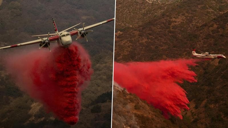 California Wildfires: লস অ্যাঞ্জেলেসে আগুন নিয়ন্ত্রণে বিমান থেকে ছড়ানো হচ্ছে গ্যালন গ্যালন গোলাপি পদার্থ!