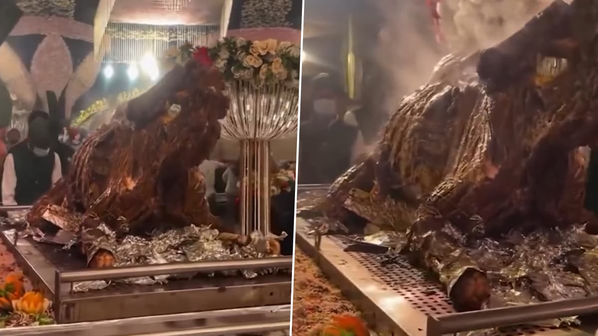 Whole Roasted Camel Served at Wedding: চিকেন কিংবা মটন নয়, আস্ত উট পুড়িয়ে বিয়েবাড়িতে পরিবেশিত হল, ভাইরাল ভিডিয়ো দেখুন