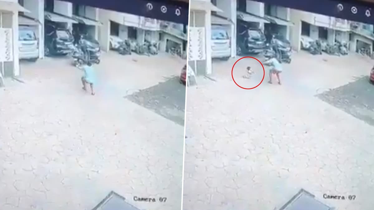 Thane Viral Video: তিন তলার বারান্দা থেকে পড়ে গিয়েও অক্ষত দুই বছরের শিশু, দেখুন ভাইরাল ভিডিও