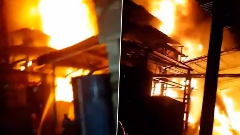 Fire n Noida: নয়ডার কারখানায় আগুন, সিলিন্ডার ফেটে বিপত্তি