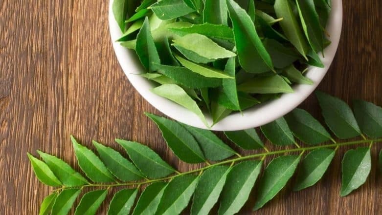 Curry Leaves: সকালে খালি পেটে কারি পাতা চিবানো খুবই উপকারী, কারি পাতা চিবোলে ধারে কাছেও আসবে না এই রোগগুলো...