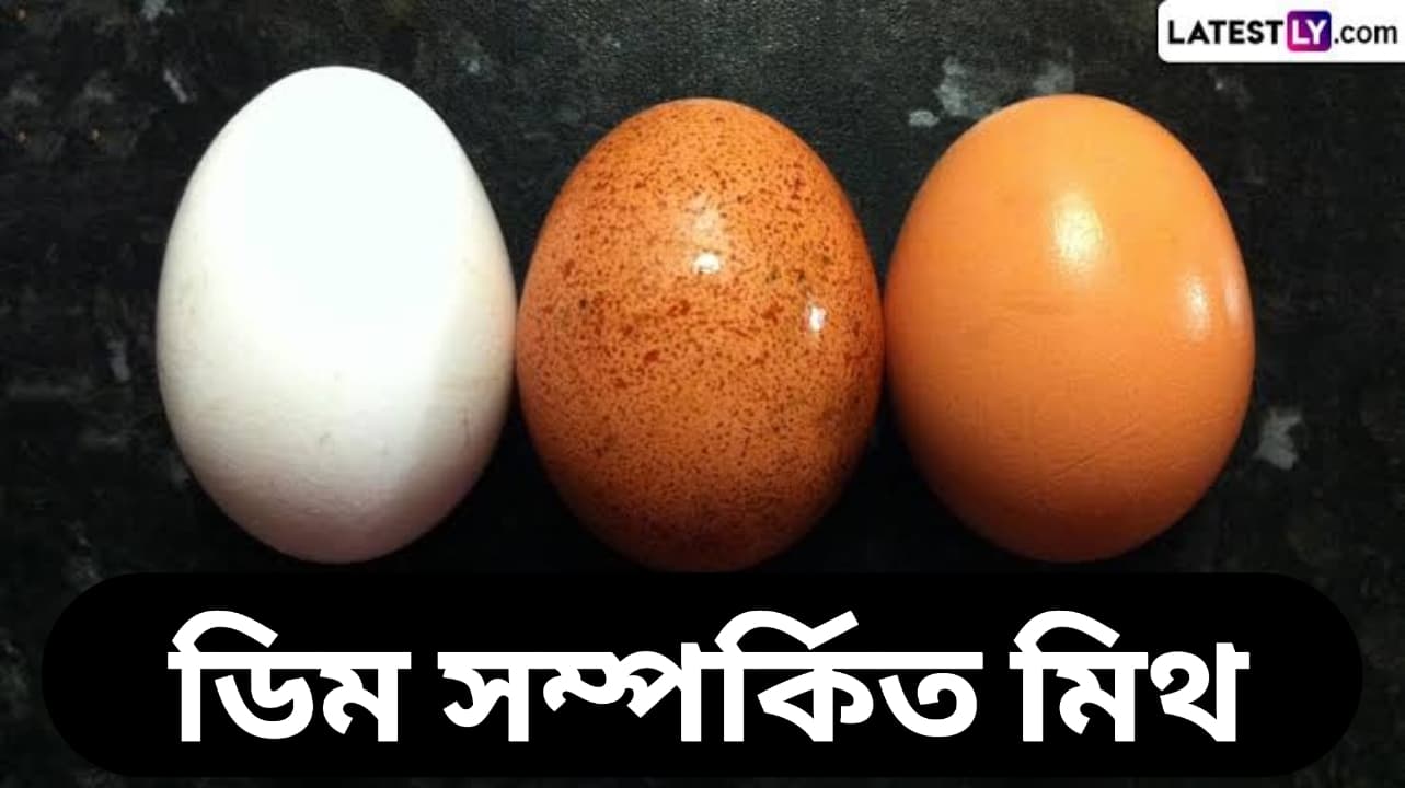 Myths About Egg: ডিম সম্পর্কে রয়েছে অনেক মিথ প্রচলিত, জেনে নিন ডিম সম্পর্কিত মিথ নিয়ে পুষ্টিবিদদের মত...