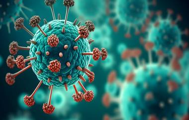 HMPV Virus In India: চিনের পর ভারতে HMPV এর থাবা, কী এই ভাইরাস, কীভাবে বুঝবেন হিউম্যান মেটানিউমোনিয়া ভাইরাসে আক্রান্ত আপনি?