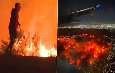 Los Angeles Wildfire Video: প্যারিস হিলটন থেকে ম্যান্ডি মুর, তারকাদের বাংলো পুড়ে ছারখার, দিন-রাত জ্বলছে লস এঞ্জেলস, দাবানল রোধে জলের অভাবে ভয়াবহতা বাড়ছে