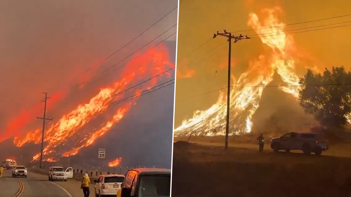 California Wildfires: ক্যালিফোর্নিয়াতে দ্রুত ছড়িয়ে পড়ছে দাবানল, মৃত ২, ধ্বংস শহরের বিস্তীর্ণ অংশ