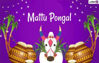 Mattu Pongal 2025: পোঙ্গল উৎসবের গুরুত্বপূর্ণ দিন মট্টু পোঙ্গল, জেনে নিন মট্টু পোঙ্গলের দিনক্ষণ ও গুরুত্ব...