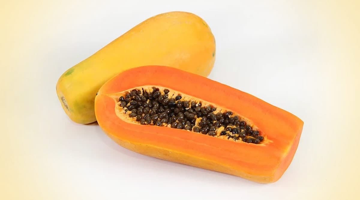 Papaya benefits: ওজন কমানোর সঙ্গে পেঁপে খাওয়ার রয়েছে অনেক উপকারিতা, জেনে নিন পেঁপের স্বাস্থ্য উপকারিতা সম্বন্ধে বিস্তারিত...