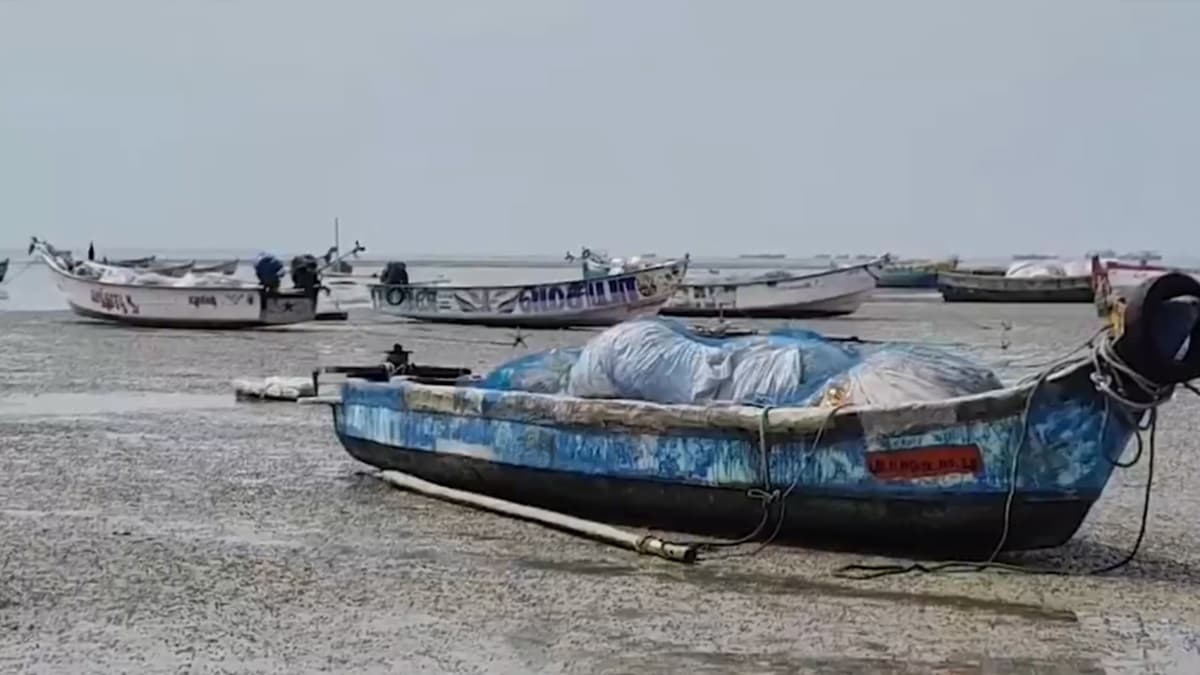 Sea In Rameswaram Video: রুষ্ট প্রকৃতি? হঠাৎ ২০০ মিটার দূরে সরে গেল সমুদ্র, কাঁদায় গেঁথে যাচ্ছে মাছ থেকে নৌকা সব