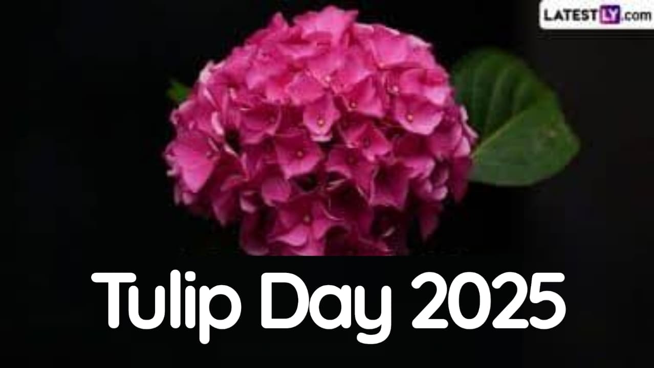 National Tulip Day 2025: জাতীয় টিউলিপ দিবস কবে? জেনে নিন জাতীয় টিউলিপ দিবসের কিছু মজার তথ্য...