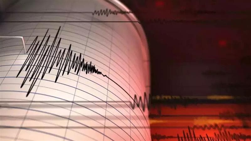 Earthquake in Kargil: হোলির দিন সাতসকালে জোড়া ভূমিকম্প, ভোররাতে কার্গিল এবং অরুণাচল প্রদেশ কেঁপে উঠল