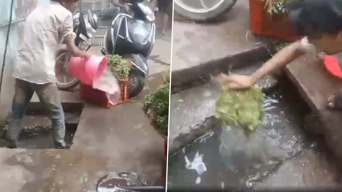 Viral Video: ড্রেনের নোংরা জলে সবজি ধুচ্ছেন বিক্রেতা, দেখুন ভিডিয়ো