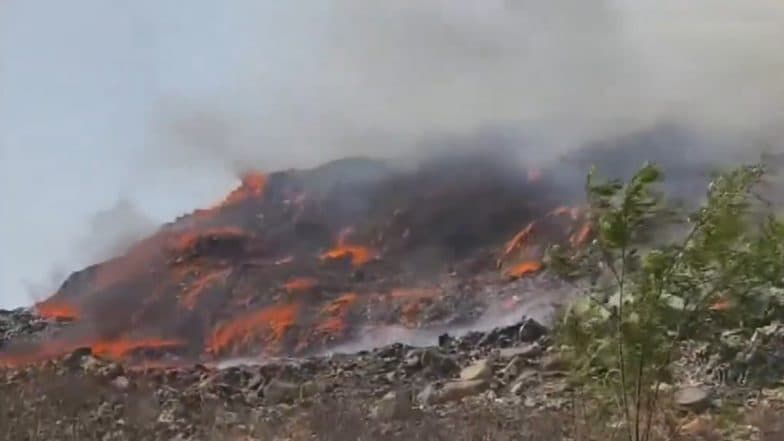 Mumbai Fire Video: মুম্বইয়ের তুর্বে আবর্জনা স্তূপে ভয়াবহ অগ্নিকাণ্ড