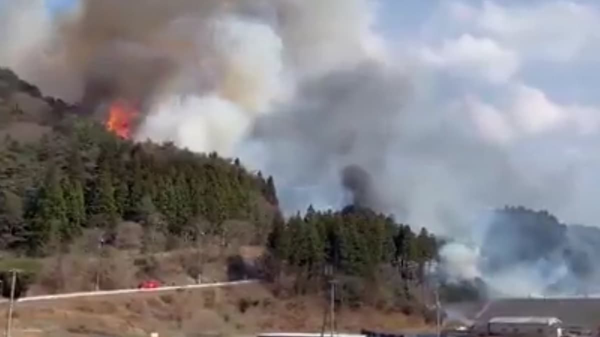 Japan Wildfire Video: জ্বলছে জাপান, দাবানলের গিলে খাচ্ছে বাড়িঘর, প্রাণ হাতে নিয়ে পালাচ্ছে মানুষ দেখুন