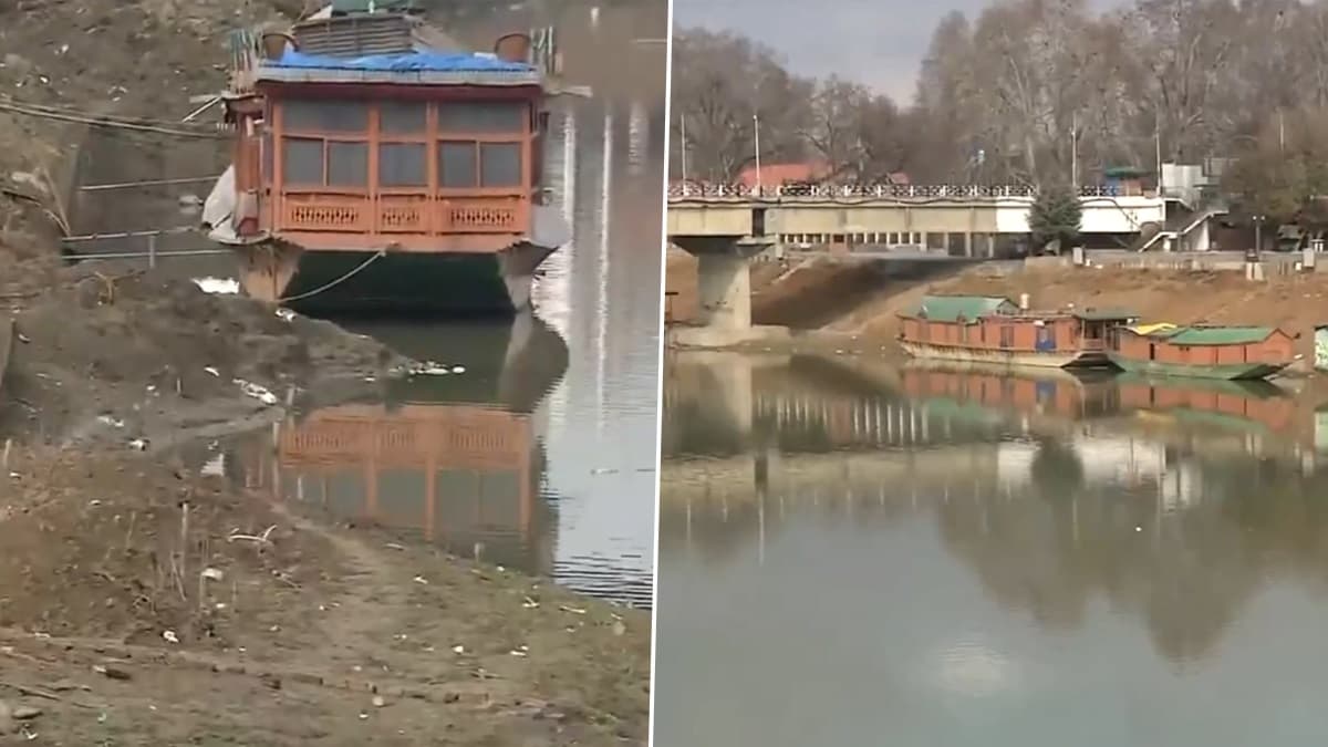 Jhelum River Video: জল কমছে ঝিলমে, বড় বিপর্যয়ের মুখে কাশ্মীর? ভিডিয়ো দেখুন