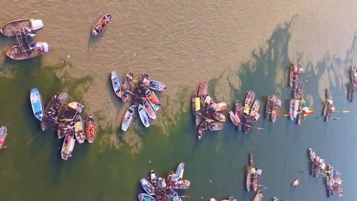 FIRs Against Social Media Handles In Maha Kumbh: 'বিভ্রান্তিমূলক পোস্ট' মহাকুম্ভ নিয়ে, ১৪০টি সোশ্যাল মিডিয়া হ্যান্ডেলের বিরুদ্ধে দায়ের এফআইআর