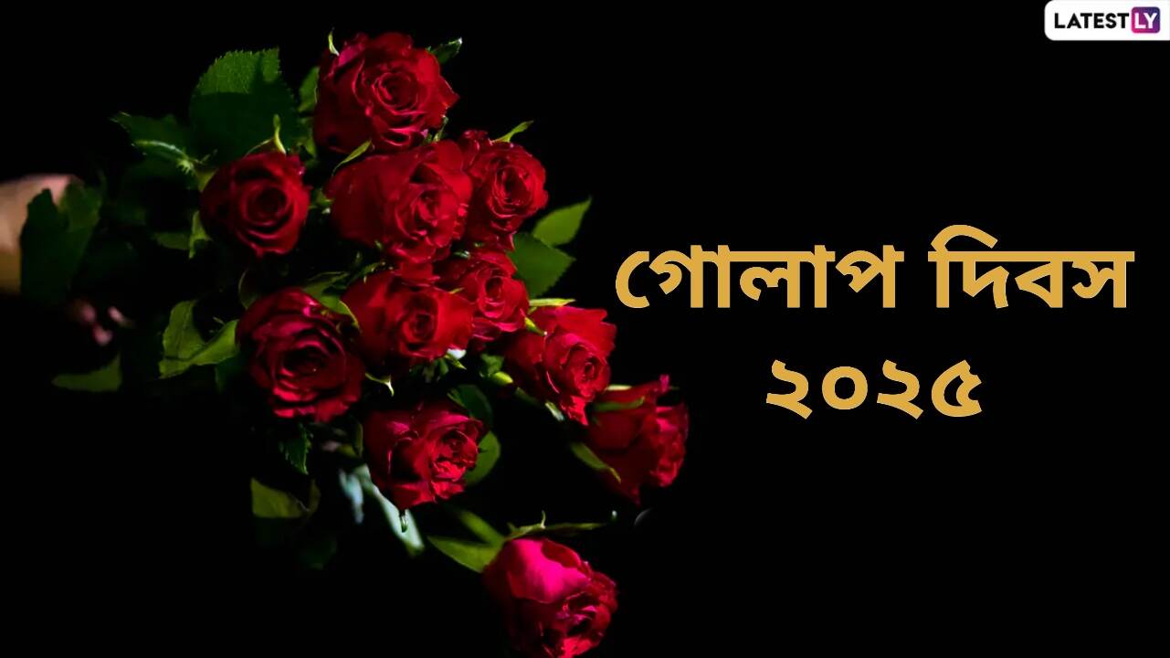 Rose Day 2025: কেন ৭ ফেব্রুয়ারি পালিত হয় গোলাপ দিবস? জেনে নিন গোলাপ দিবসের ইতিহাস এবং গুরুত্ব...