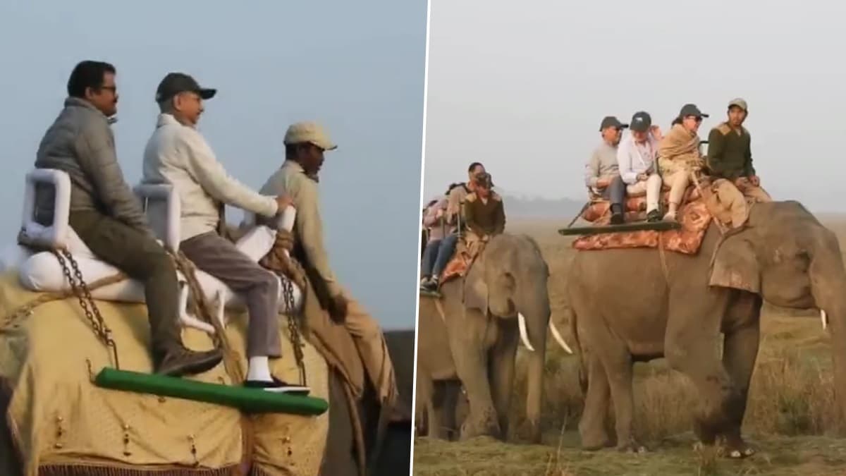 EAM Dr S Jaishankar Enjoy Elephant Safari: হাতির পিঠে বসলেন জয়শঙ্কর, হেলতে দুলতে গজরাজ এগোল জঙ্গলের ভিতর দিয়ে দেখুন