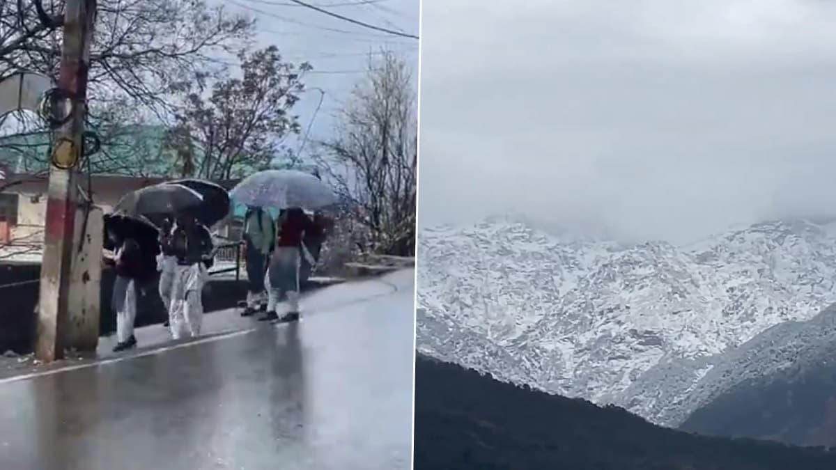 Snowfall In Himachal Pradesh Video: তুষারে ঢেকেছে পাহাড় চূড়া, হিমাচলে ঝরঝর করে পড়ছে বরফ দেখুন