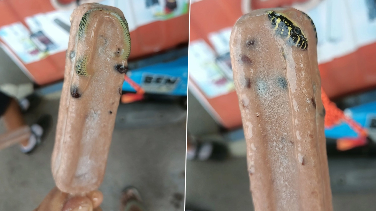 Frozen Snake Inside Ice Cream Bar: আইসক্রিমের সঙ্গে জমে রয়েছে আস্ত সাপ, খেতে গিয়ে চক্ষু চড়কগাছ পর্যটকের