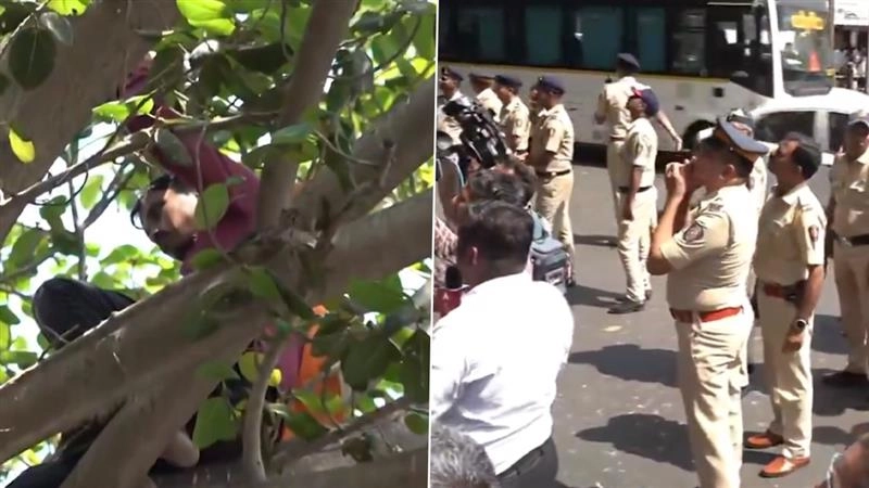 Mumbai: বিধানসভার বাইরে গাছে চড়ে বসলেন এক ব্যক্তি, দেখুন ভিডিও