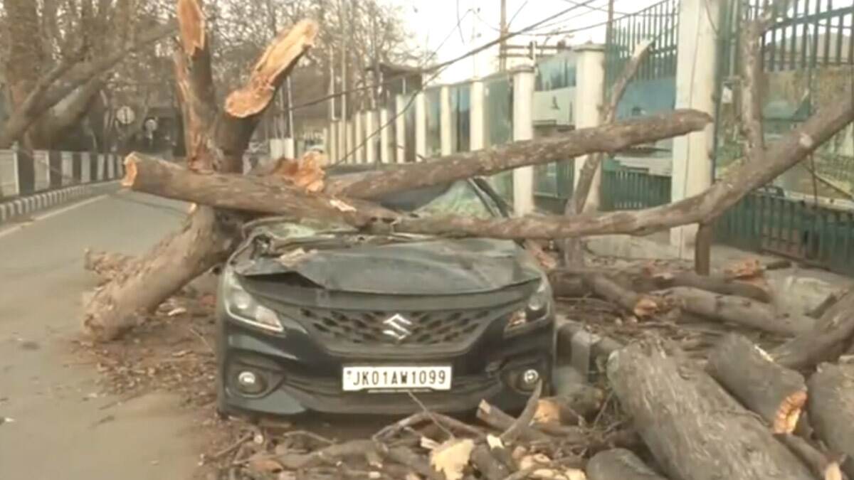 Srinagar: কাশ্মীর উপত্যকায় আচমকা ঝড়ে ব্যাপক ক্ষয়ক্ষতি; গাছ উপড়ে সম্পত্তি, বিদ্যুৎ লাইন ক্ষতিগ্রস্ত