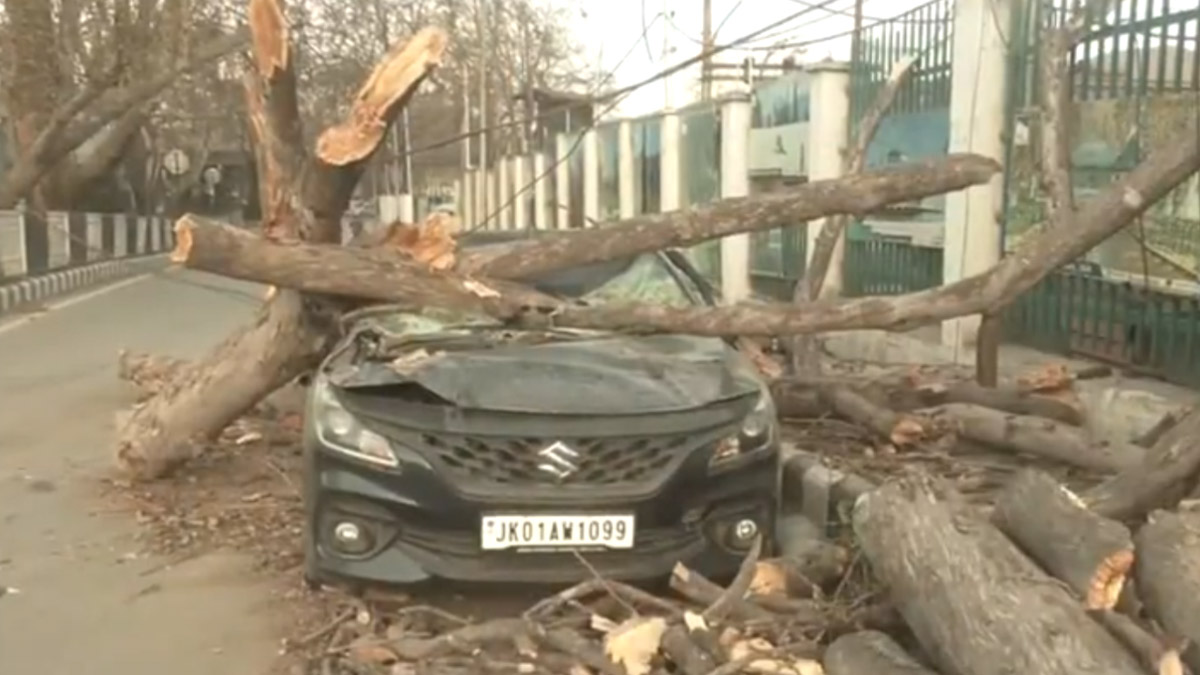 Srinagar: কাশ্মীর উপত্যকায় আচমকা ঝড়ে ব্যাপক ক্ষয়ক্ষতি; গাছ উপড়ে সম্পত্তি, বিদ্যুৎ লাইন ক্ষতিগ্রস্ত