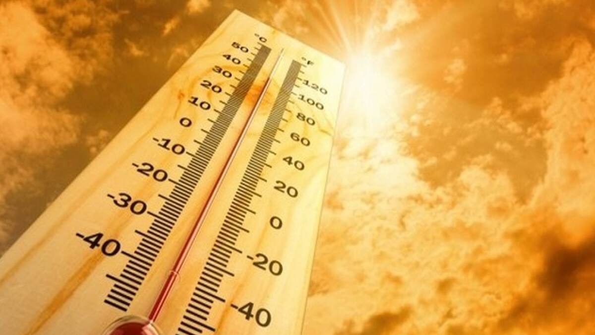 Delhi Weather Update: কাঠফাটা রোদ, তীব্র গরম, মার্চেই রেকর্ড ছুঁল দিল্লির তাপমাত্রা