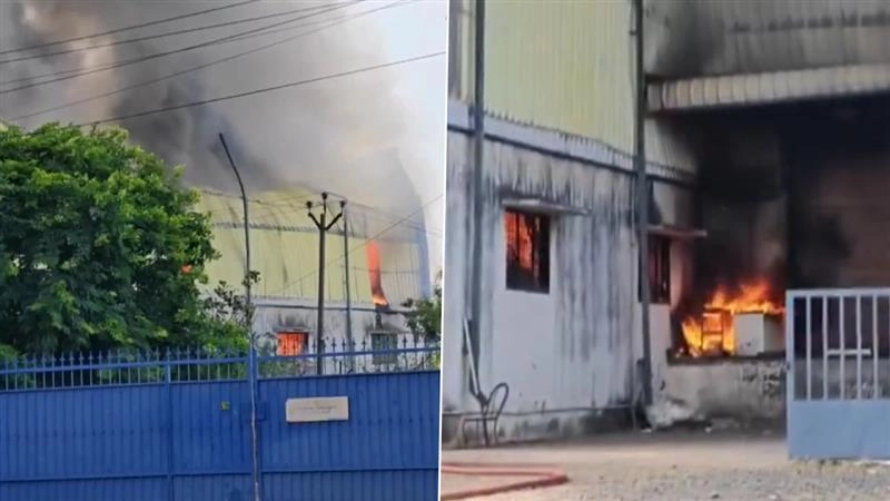 Tamil Nadu Fire: পুনামালিতে ভয়াবহ অগ্নিকাণ্ডের ঘটনা ঘটেছে, দেখুন ভিডিও