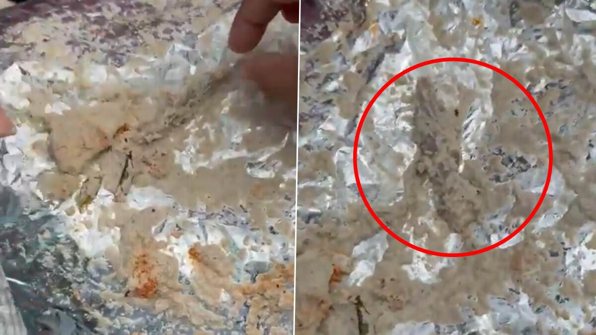 Dead Lizard Found in Chutney: খাওয়ার একেবারে শেষ পাতে চাটনিতে চোখে পড়ল মরা টিকটিকি, গা গুলিয়ে ওঠা দৃশ্য দেখুন