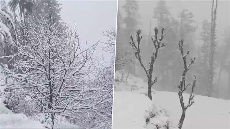 Jammu and Kashmir Snowfall: ডোডা উপত্যকায় অব্যাহত ভারী তুষারপাত এবং বৃষ্টি, তীব্র ঠাণ্ডায় ব্যাহত জনজীবন